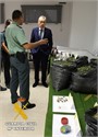 La Guardia Civil desmantela un laboratorio &#8220;indoor&#8221; de produccin de marihuana