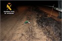 La Guardia Civil identifica al presunto autor del incendio forestal de Mecerreyes ocurrido en 2014