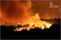 La Junta ampla la declaracin de peligro medio de incendios forestales hasta el 30 de junio en toda la Comunidad
