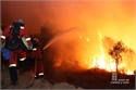 7,7 millones de euros para tratamientos silvcolas preventivos de incendios forestales 